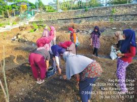 PENANAMAN BENIH KANGKUNG & PENYEMAIAN SAWI HIJAU B2SA